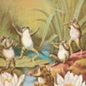 Meet your Posher, Ellie